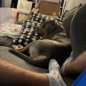 Meet your Posher, Eric